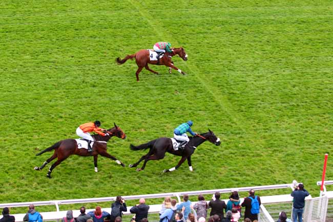 Photo d'arrivée de la course pmu PRIX DE MARSAN à AUTEUIL le Lundi 17 avril 2017