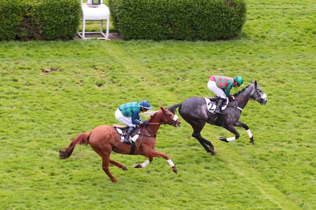Photo d'arrivée de la course pmu PRIX PHILIPPE MENAGER à AUTEUIL le Lundi 17 avril 2017