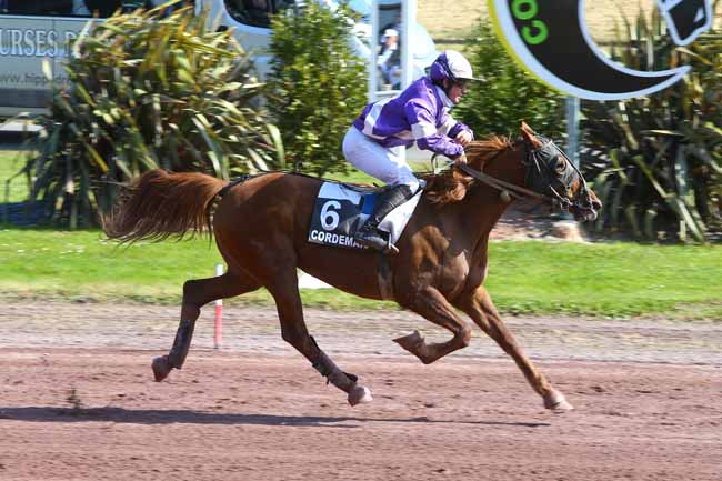 Photo d'arrivée de la course pmu PRIX DE LA VILLE DE MALVILLE à CORDEMAIS le Mercredi 19 avril 2017