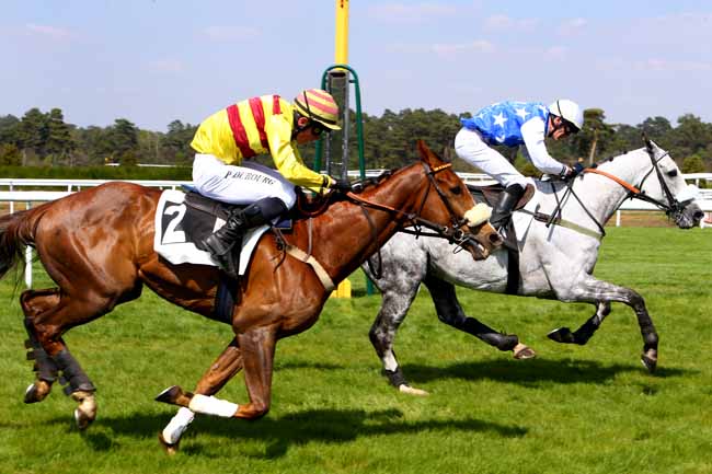 Photo d'arrivée de la course pmu PRIX ANDRE GAREAU à FONTAINEBLEAU le Mercredi 19 avril 2017