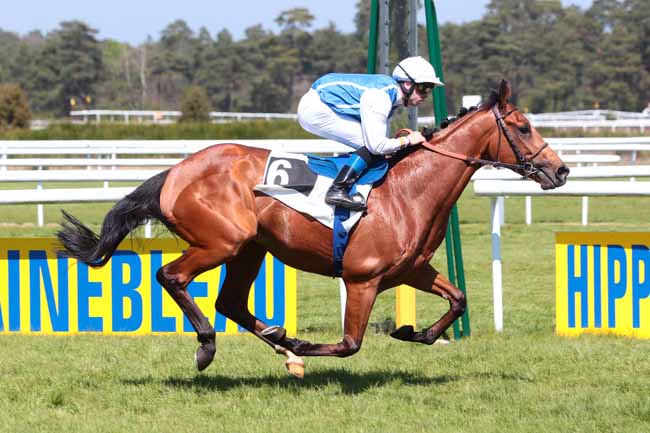 Photo d'arrivée de la course pmu PRIX DES IFS à FONTAINEBLEAU le Vendredi 21 avril 2017