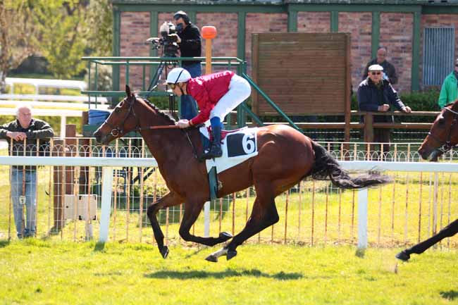 Photo d'arrivée de la course pmu PRIX DE FONTAINEROUX à FONTAINEBLEAU le Vendredi 21 avril 2017