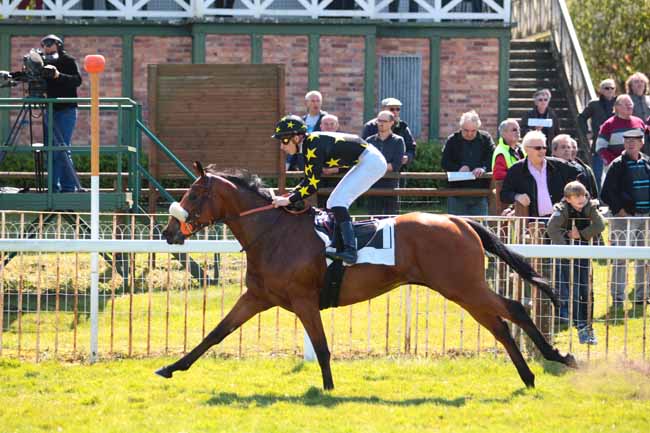 Photo d'arrivée de la course pmu PRIX DE MORET-SUR-LOING à FONTAINEBLEAU le Vendredi 21 avril 2017