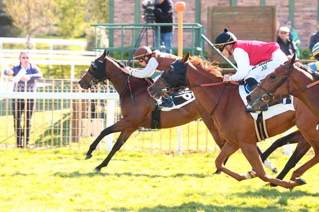 Photo d'arrivée de la course pmu PRIX DE VENEUX-LES-SABLONS à FONTAINEBLEAU le Vendredi 21 avril 2017