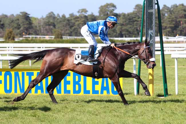 Photo d'arrivée de la course pmu PRIX DES HETRES à FONTAINEBLEAU le Vendredi 21 avril 2017