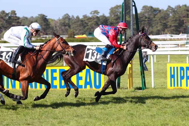 Photo d'arrivée de la course pmu PRIX DE L'AUTOROUTE DU SOLEIL à FONTAINEBLEAU le Vendredi 21 avril 2017