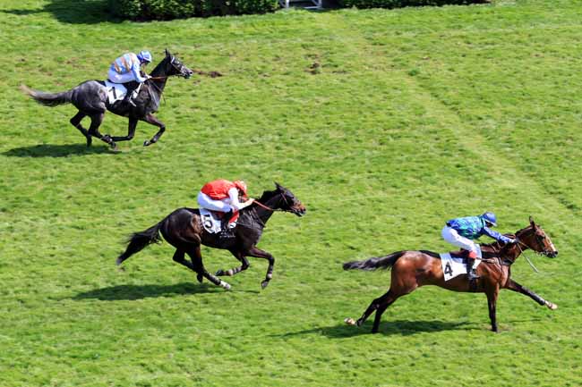 Photo d'arrivée de la course pmu PRIX MAGUELONNE à AUTEUIL le Vendredi 21 avril 2017