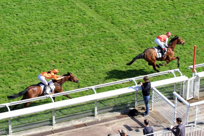 Photo d'arrivée de la course pmu PRIX ALCIDE à AUTEUIL le Vendredi 21 avril 2017