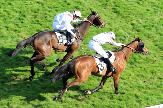 Photo d'arrivée de la course pmu PRIX LE HON à AUTEUIL le Vendredi 21 avril 2017