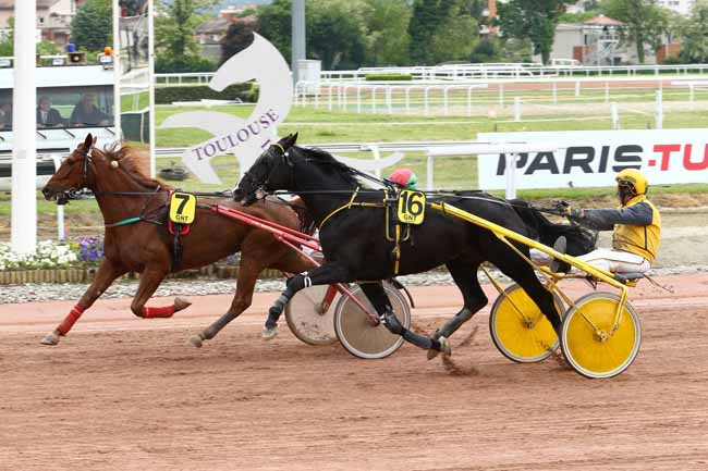 Photo d'arrivée de la course pmu GRAND NATIONAL DU TROT PARIS-TURF à TOULOUSE le Mercredi 26 avril 2017