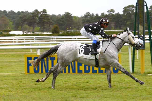 Photo d'arrivée de la course pmu PRIX DE FONTAINE-LE-PORT à FONTAINEBLEAU le Vendredi 28 avril 2017