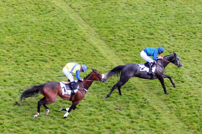 Photo d'arrivée de la course pmu PRIX DES CHARENTES à AUTEUIL le Samedi 29 avril 2017