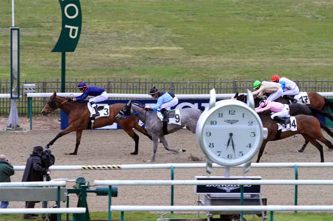 Photo d'arrivée de la course pmu PRIX DU PAVE DE LA BICHE à CHANTILLY le Dimanche 30 avril 2017