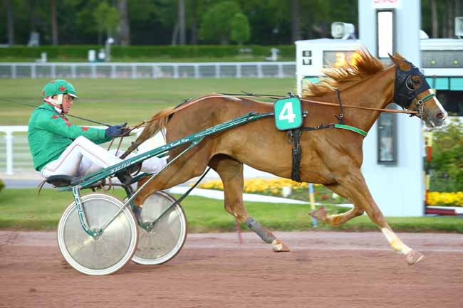 Photo d'arrivée de la course pmu PRIX DU PONT DE GRENELLE à ENGHIEN le Lundi 1 mai 2017