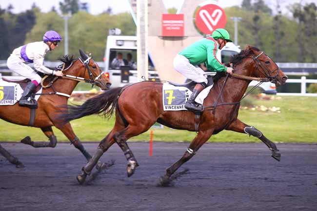Photo d'arrivée de la course pmu PRIX RENE PALYART à PARIS-VINCENNES le Mardi 2 mai 2017
