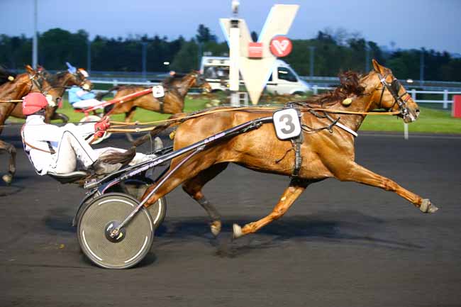 Photo d'arrivée de la course pmu PRIX RENE GAYET à PARIS-VINCENNES le Mardi 2 mai 2017