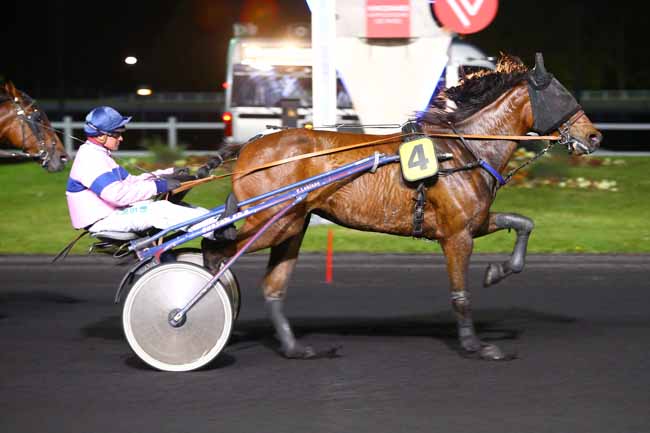 Photo d'arrivée de la course pmu PRIX ARACHNE à PARIS-VINCENNES le Mardi 2 mai 2017