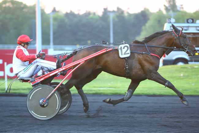 Photo d'arrivée de la course pmu PRIX BELINDA à PARIS-VINCENNES le Vendredi 5 mai 2017