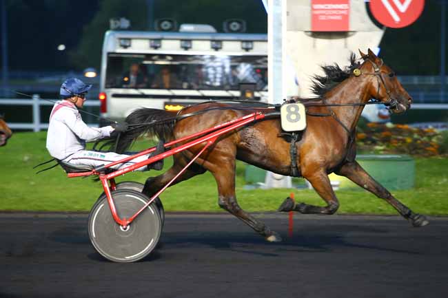 Photo d'arrivée de la course pmu PRIX IDA à PARIS-VINCENNES le Vendredi 5 mai 2017