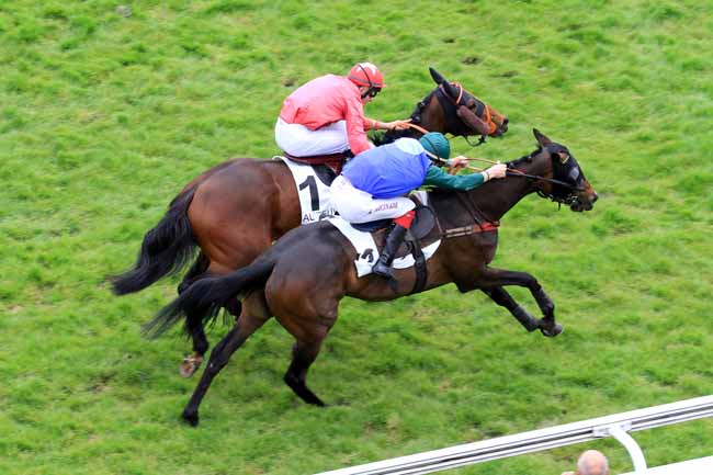 Photo d'arrivée de la course pmu PRIX FAUCHE-LE-PRE à AUTEUIL le Vendredi 5 mai 2017