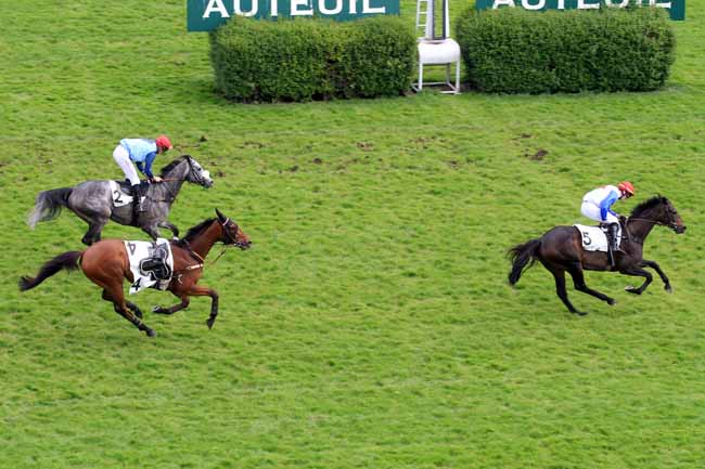 Photo d'arrivée de la course pmu PRIX ANDREA à AUTEUIL le Vendredi 5 mai 2017