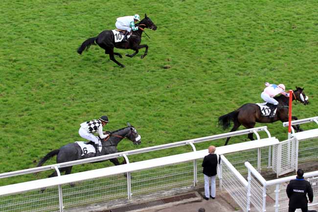 Photo d'arrivée de la course pmu PRIX VANILLE à AUTEUIL le Vendredi 5 mai 2017