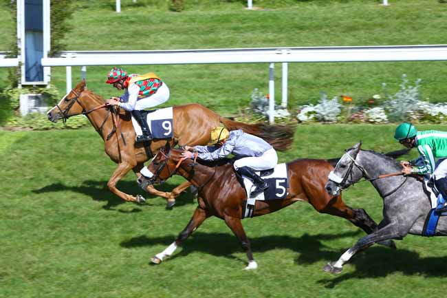 Photo d'arrivée de la course pmu PRIX DJELFOR à BORDEAUX-LE BOUSCAT le Mardi 9 mai 2017