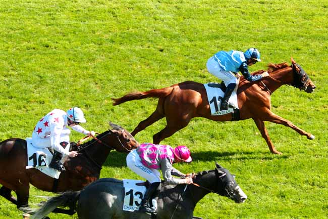 Photo d'arrivée de la course pmu PRIX DU BOURGET à CHANTILLY le Mercredi 10 mai 2017