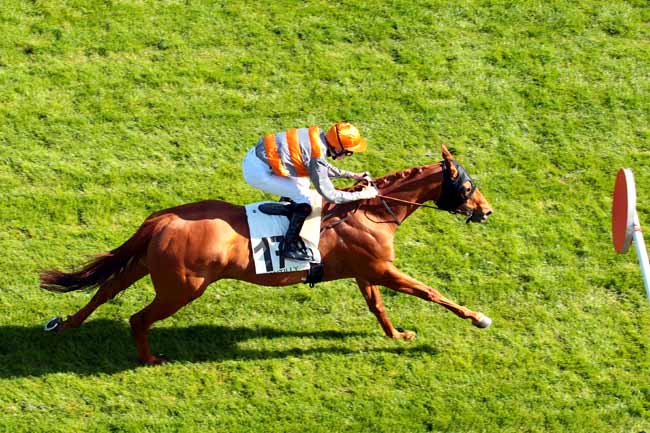 Photo d'arrivée de la course pmu PRIX DE VILLACOUBLAY à CHANTILLY le Mercredi 10 mai 2017