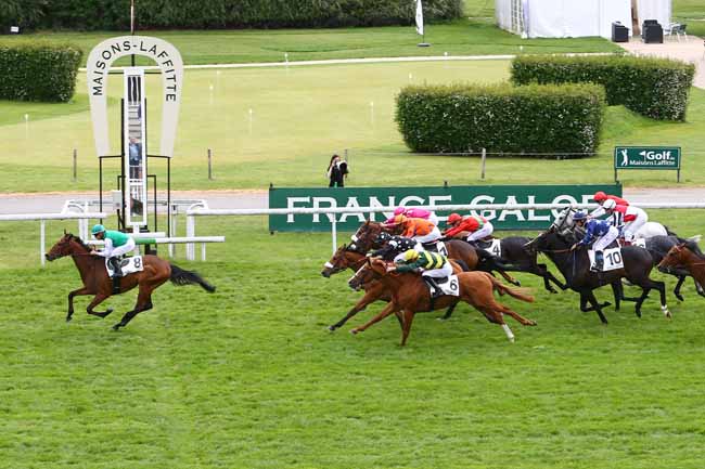 Photo d'arrivée de la course pmu PRIX DE PROVENCE à MAISONS-LAFFITTE le Jeudi 11 mai 2017