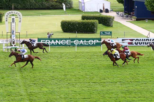 Photo d'arrivée de la course pmu PRIX ALPES COTE D'AZUR à MAISONS-LAFFITTE le Jeudi 11 mai 2017
