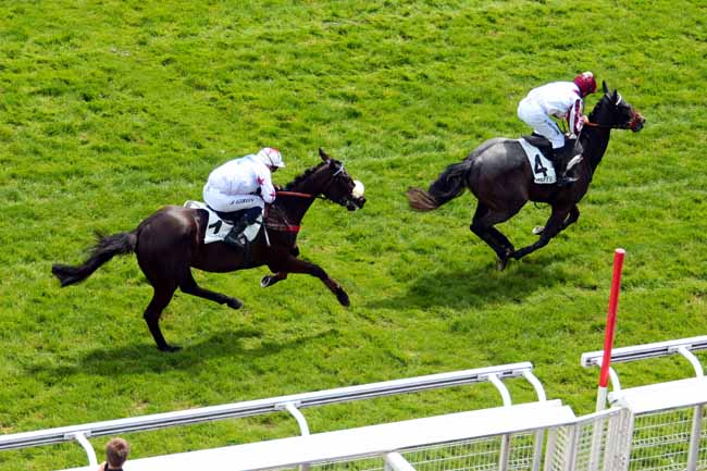 Photo d'arrivée de la course pmu PRIX DE LA VANOISE à AUTEUIL le Vendredi 12 mai 2017