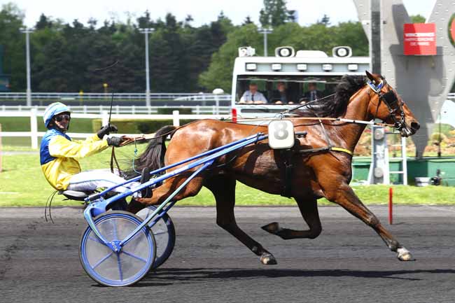 Photo d'arrivée de la course pmu PRIX DU GATINAIS à PARIS-VINCENNES le Samedi 13 mai 2017
