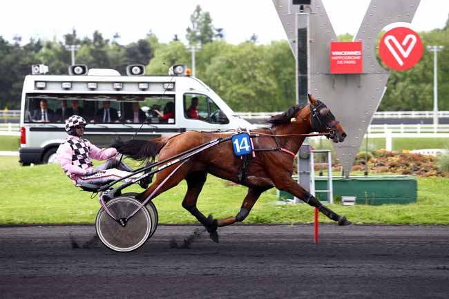 Photo d'arrivée de la course pmu PRIX DU MANS à PARIS-VINCENNES le Samedi 13 mai 2017