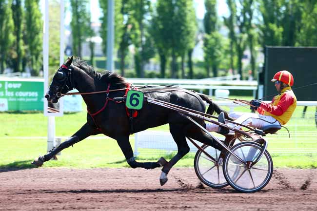 Photo d'arrivée de la course pmu PRIX DE RAVEL à VICHY le Mardi 16 mai 2017