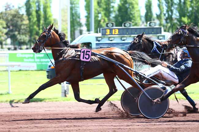 Photo d'arrivée de la course pmu PRIX DE CLERLANDE à VICHY le Mardi 16 mai 2017
