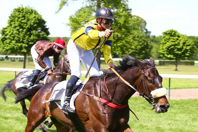 Photo d'arrivée de la course pmu PRIX COLLINS à COMPIEGNE le Mardi 16 mai 2017