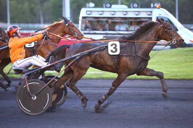 Photo d'arrivée de la course pmu PRIX MURZIM à PARIS-VINCENNES le Mardi 16 mai 2017