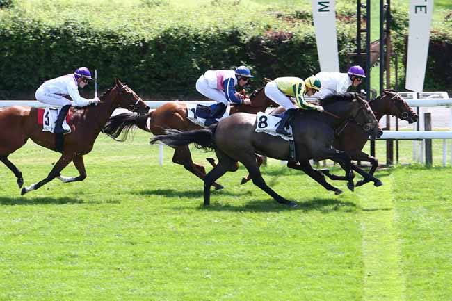 Photo d'arrivée de la course pmu PRIX DE GOURNAY-EN-BRAY à MAISONS-LAFFITTE le Mercredi 17 mai 2017