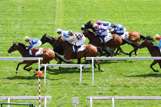 Photo d'arrivée de la course pmu PRIX CRUDITE à MAISONS-LAFFITTE le Mercredi 17 mai 2017
