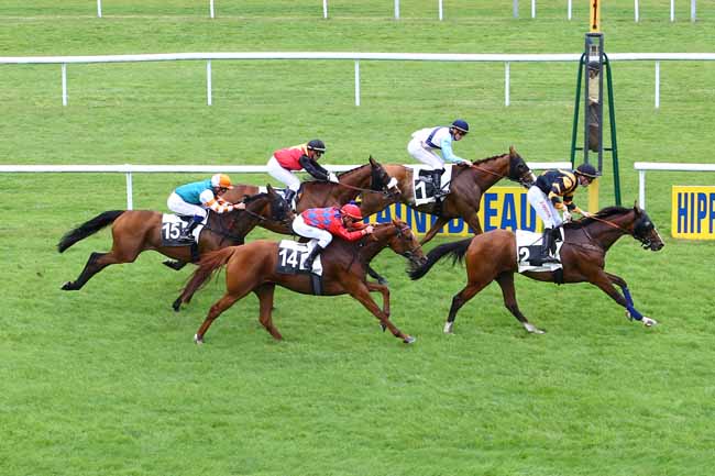 Photo d'arrivée de la course pmu PRIX DES PINS NOIRS à FONTAINEBLEAU le Jeudi 18 mai 2017