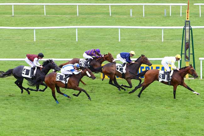Photo d'arrivée de la course pmu PRIX DES SAPINS à FONTAINEBLEAU le Jeudi 18 mai 2017