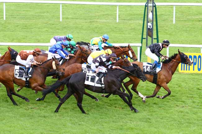 Photo d'arrivée de la course pmu PRIX DES SENTIERS DENECOURT à FONTAINEBLEAU le Jeudi 18 mai 2017