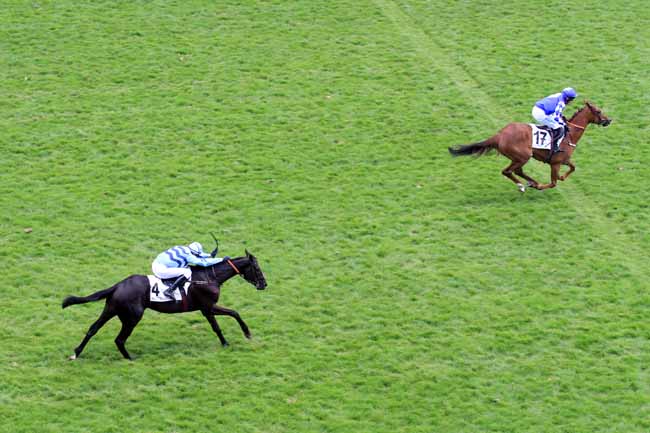 Photo d'arrivée de la course pmu PRIX EX VOTO à AUTEUIL le Dimanche 21 mai 2017