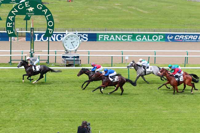 Photo d'arrivée de la course pmu PRIX DE MONTGEROULT à CHANTILLY le Lundi 22 mai 2017