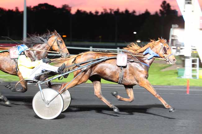 Photo d'arrivée de la course pmu PRIX IAPETUS à PARIS-VINCENNES le Mardi 23 mai 2017