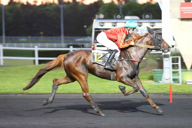 Photo d'arrivée de la course pmu PRIX NIOBE à PARIS-VINCENNES le Vendredi 26 mai 2017