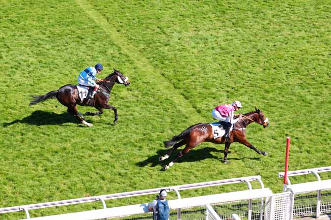 Photo d'arrivée de la course pmu PRIX MELINOIR à AUTEUIL le Vendredi 26 mai 2017