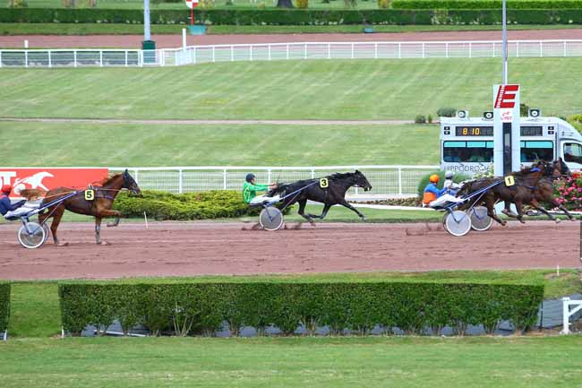 Photo d'arrivée de la course pmu PRIX DE LA VIENNE à ENGHIEN le Samedi 27 mai 2017