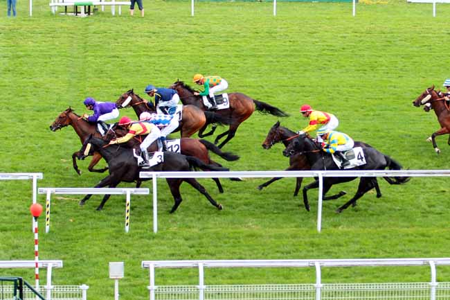 Photo d'arrivée de la course pmu PRIX DE MAREIL-MARLY à MAISONS-LAFFITTE le Lundi 29 mai 2017